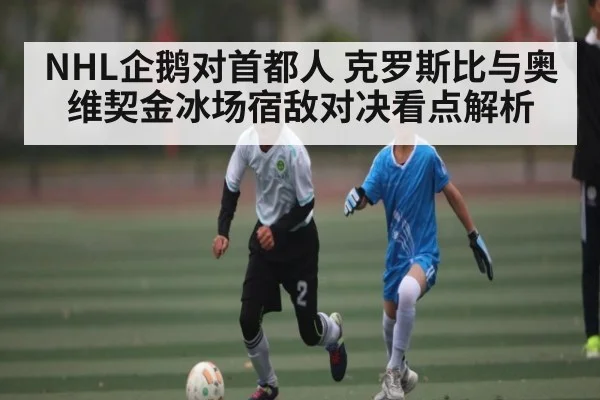 NHL企鹅对首都人 克罗斯比与奥维契金冰场宿敌对决看点解析